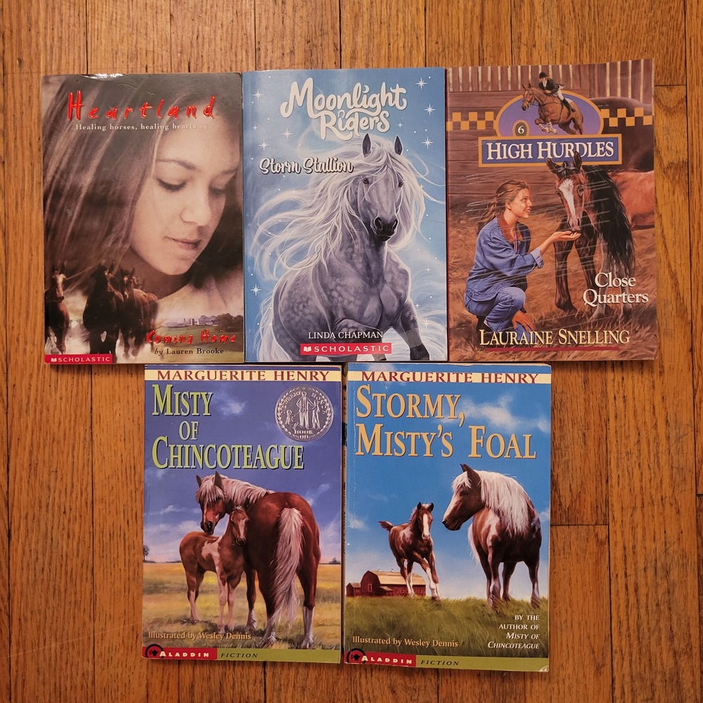 5 Horse Lover Book Lot Misty of Chincoteague Heartland Stormy High Hurdles Gift